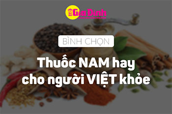 Phát động bình chọn: "Thuốc Nam cho người Việt khỏe"